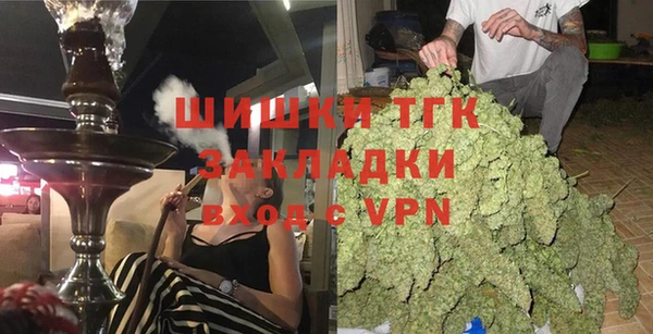 мдпв Пестово