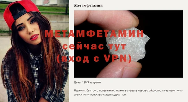 мдпв Пестово