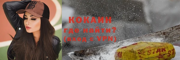 мдпв Пестово