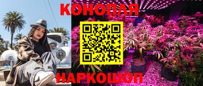 ГАЛЛЮЦИНОГЕННЫЕ ГРИБЫ Новокубанск