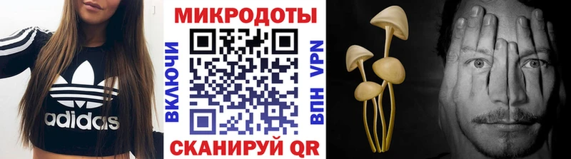 кракен ТОР  Новочеркасск  Галлюциногенные грибы мицелий 