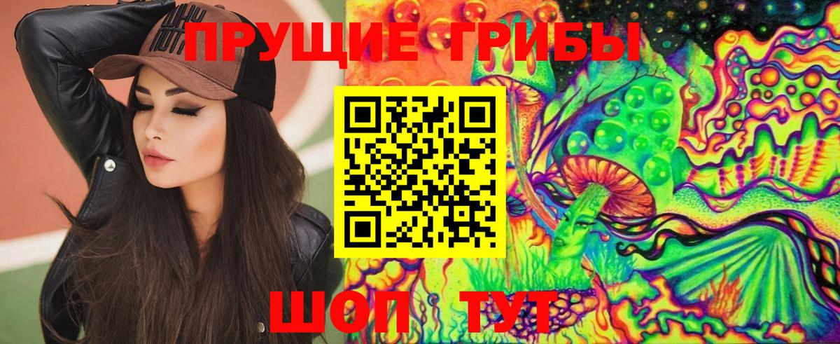 Псилоцибиновые грибы MAGIC MUSHROOMS  Вход с VPN  Галлюциногенные грибы Magic Shrooms  сколько стоит  Новочеркасск 